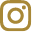 logo instagram