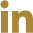 logo instagram